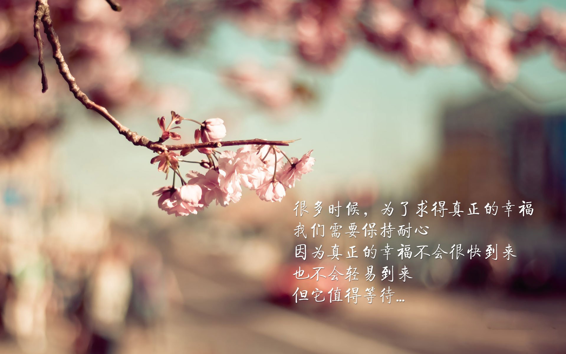 爱游戏官方网站-赛段策略揭秘：如何在短暂的赛段中占尽先机，比赛中段