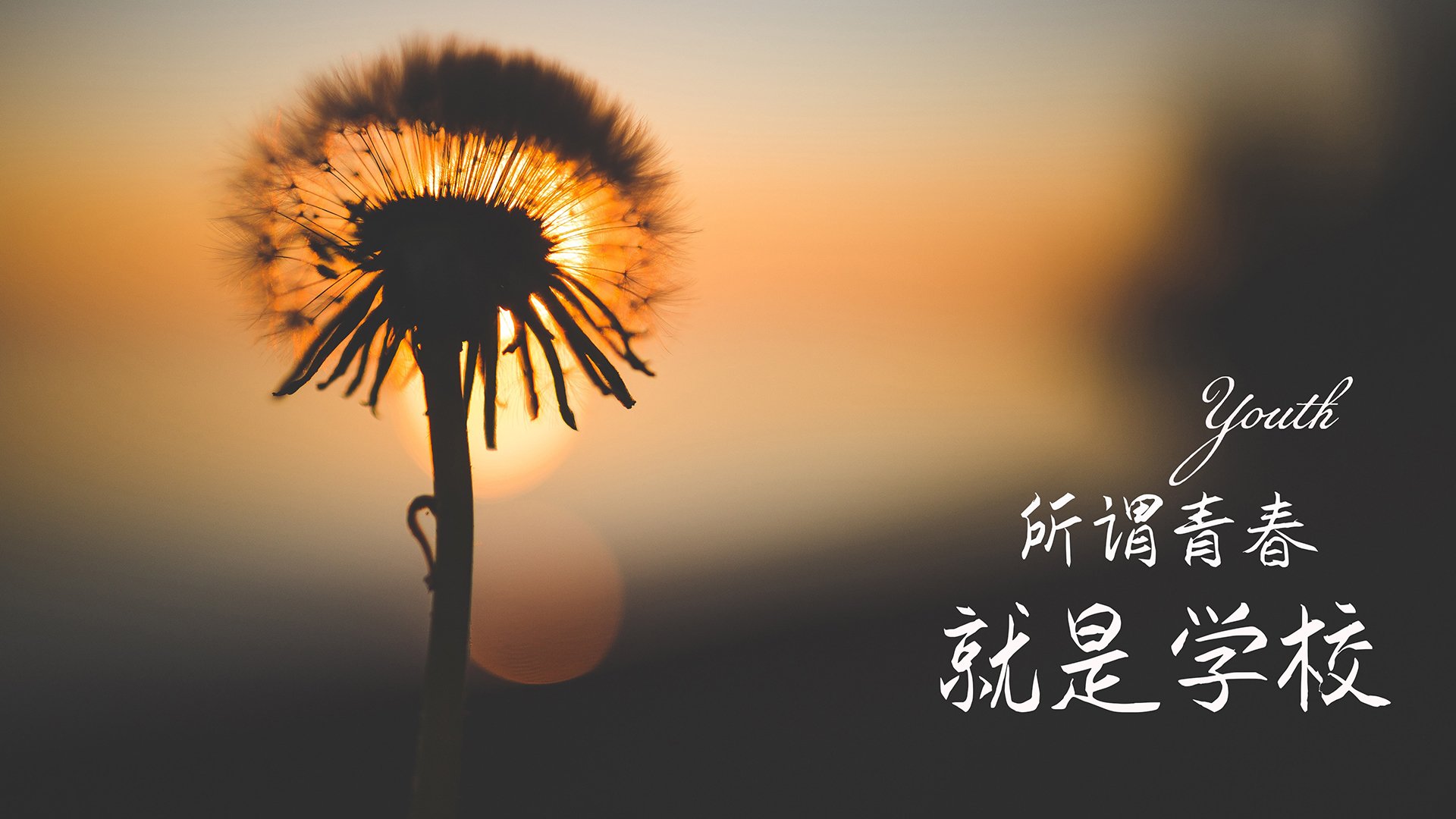 爱游戏中国官方网站平台-瑞士队遭遇意大利绝杀，小组出线希望渺茫，瑞士队vs意大利队角球数