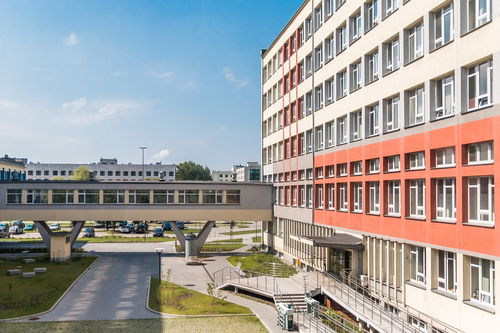 爱游戏官方-中国篮球联赛裁判员技术培训体系建设,篮球裁判员培训班