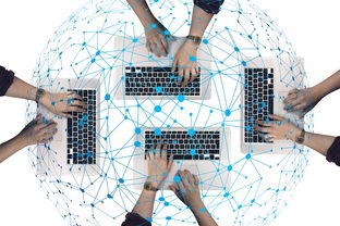 AIYOUXI.COM-青少年体育社会支持系统构建与影响因素分析,青少年体育公共服务体系建设