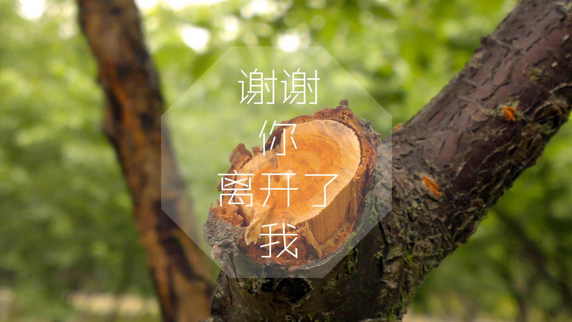 AYX GAMING-C罗夺冠后与队友热舞庆祝胜利，c罗夺冠后与队友热舞庆祝胜利是哪一集