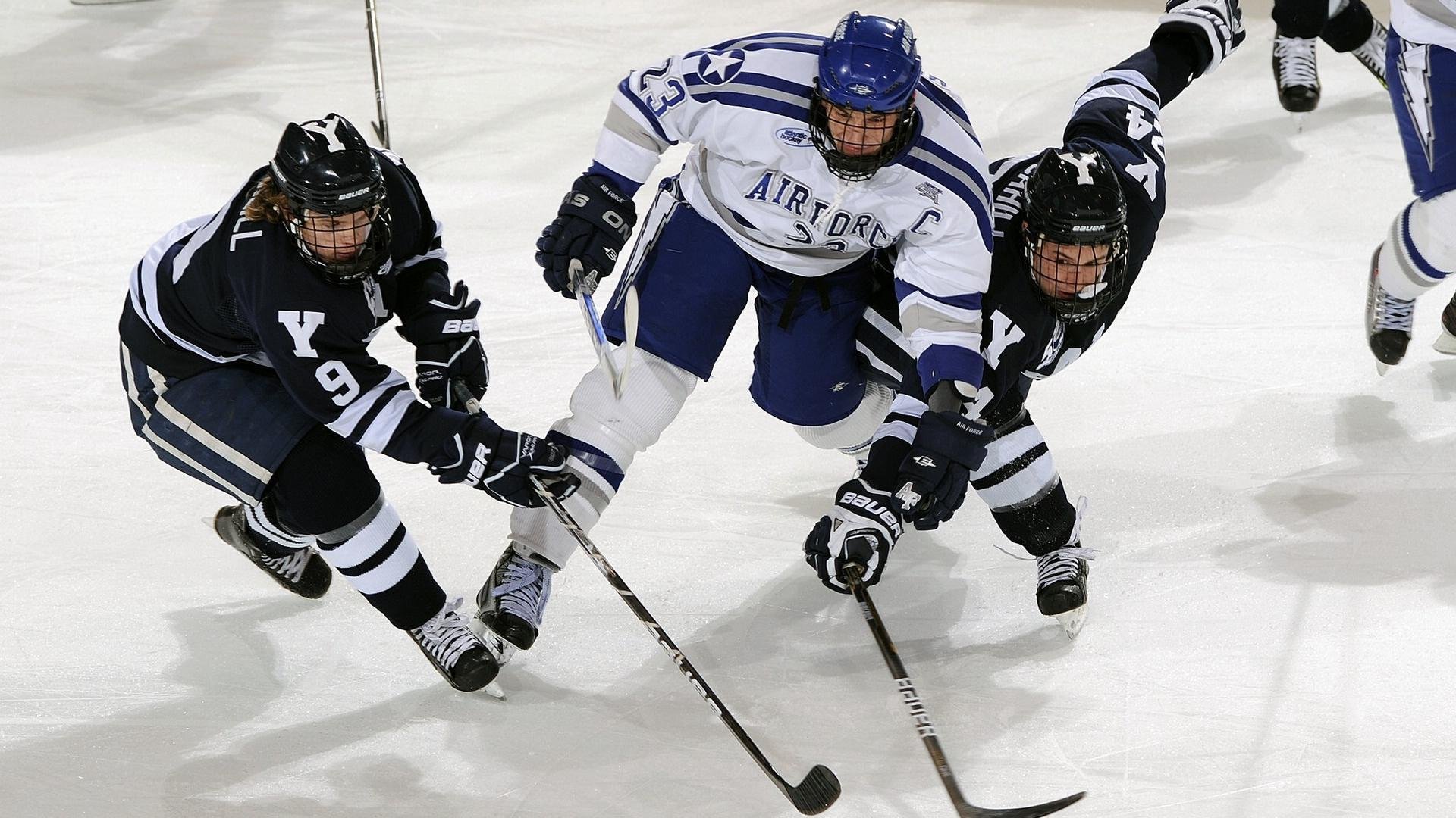 _骑士年轻核心表现抢眼，未来可期_，骑士17